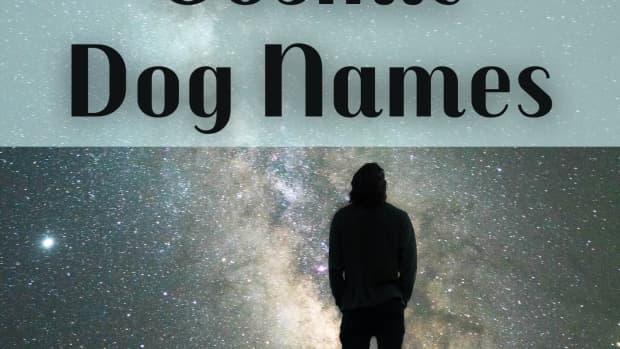 cosmic-names-for-dogs-from-the-cosmos-and-science
