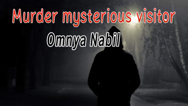 murder-the-mysterious-visitor