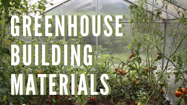 greenhouse-glass-guide