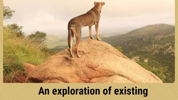 natural-breeds-of-dog-explored