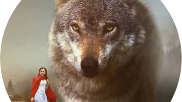 narcissist-and-little-red-riding-hood-tamara-yancosky