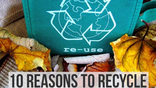 10原因 - 为什么你应该回收 - 你的废物