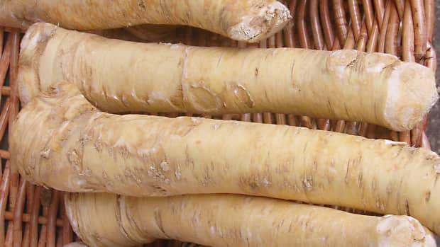 horseradish-root-and-sauce-a-tasty-condiment-for-health