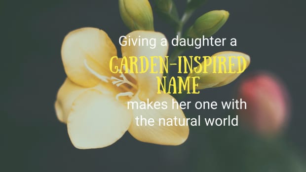 beyond-lily-rose-and-violet-50-unusual-baby-names-that-come-from-plants