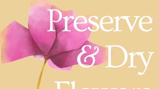 preserving-flowers-six-ways-of-drying-flowers