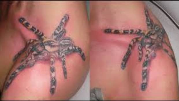 spider-tattoos-and-meanings-spider-web-tattoos-and-meanings-spider-tattoo-designs-and-ideas