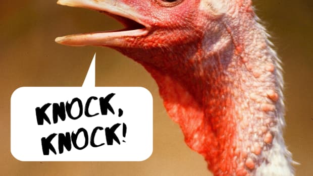 thanksgiving-knock-knock-jokes-and-riddles-for-kids