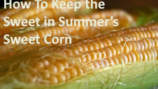 how-to-keep-the-sweet-in-summers-sweet-corn
