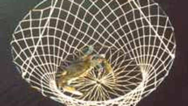 Crab Ring Net