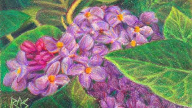 ACEO Lilacs in Prismacolor Premier on white Stonehenge paper by Robert A. Sloan