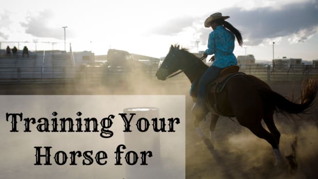 how-to-train-for-barrel-racing