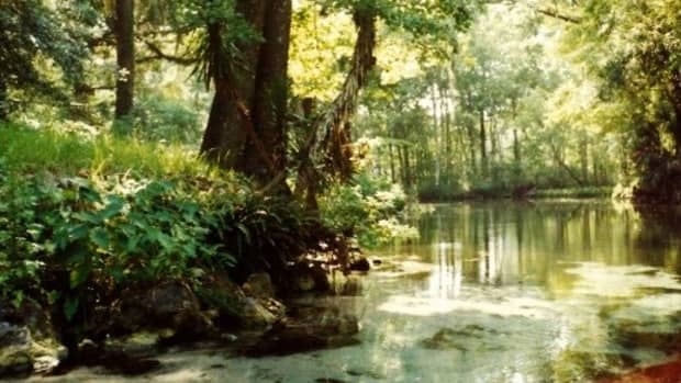 A Slice of Pure Florida, Ginnie Springs Outdoors