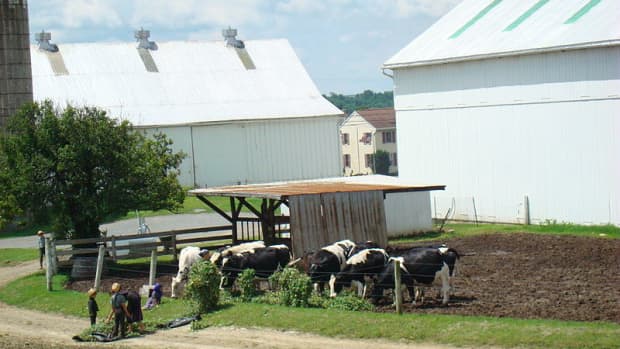An Amish farm along the Strasburg Railroad line in Lancaster County. (Photos this page public domain)