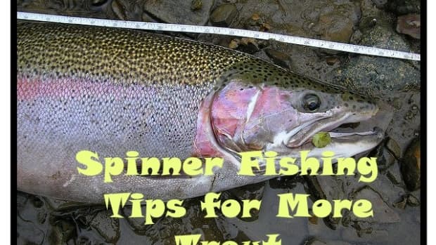 spinner-fishing-for-trout
