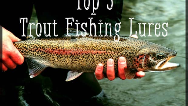 top-5-trout-lures