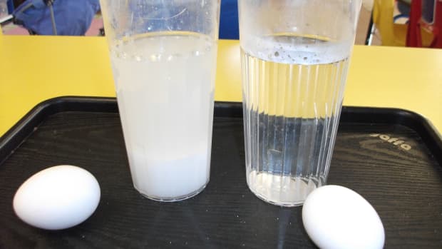 Home Science Experiment: The Egg and the Bottle - Owlcation