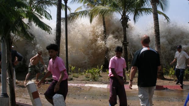 恐慌:2004年12月26日，印度尼西亚节礼日，海啸冲击树木，人们纷纷逃离