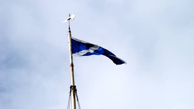 Scotland's Flag