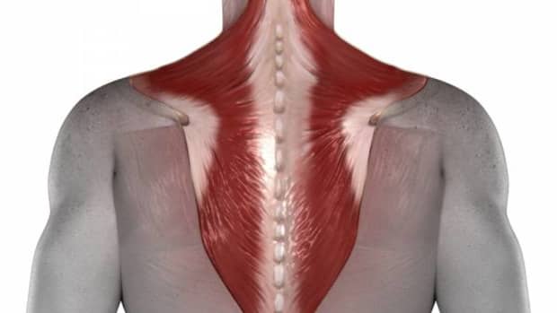 how-to-build-big-trapezius-muscles