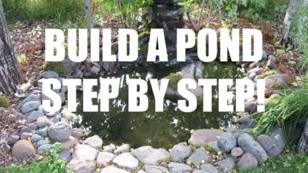 how-to-design-and-build-a-pond