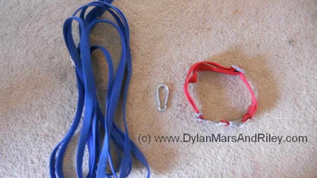 make-a-simple-no-pull-dog-harness-from-things-you-may-already-have