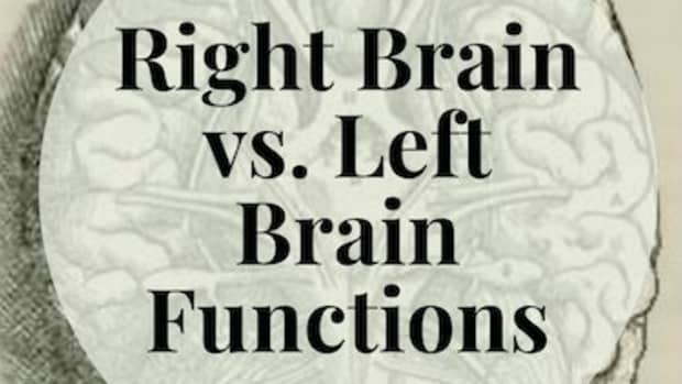 right-brain-vs-left-brain-functions