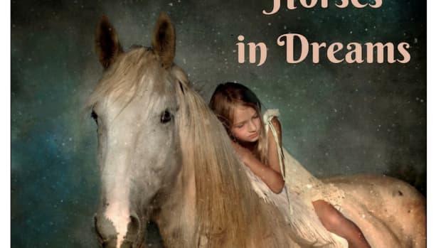 what-it-means-to-dream-of-horses