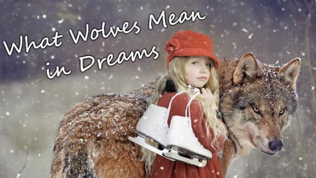 interpreting-the-meaning-of-wolves-in-dreams