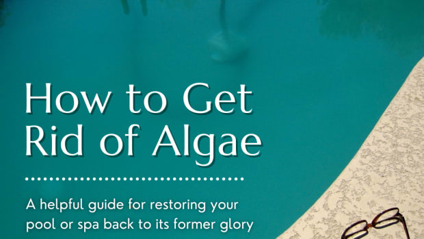 spa-and-hot-tub-maintenance-dealing-with-algae