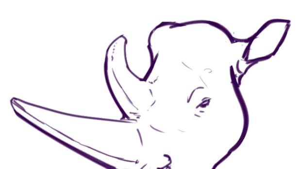 learn-to-draw-a-rhino-not-a-horse
