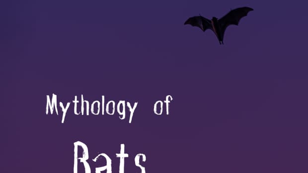 the-folklore-of-bats
