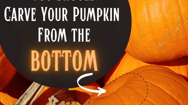 reasons-to-cut-pumpkin-from-bottom