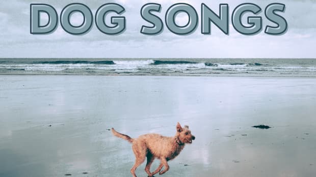 best-songs-about-dogs