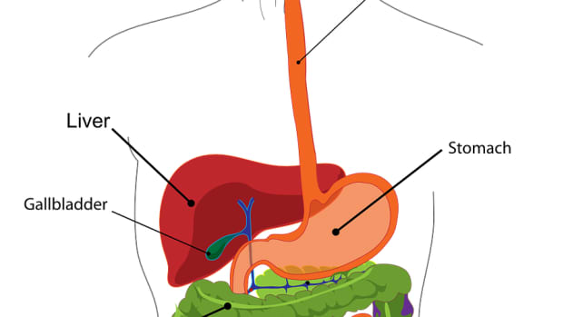 gallbladder-facts-and-experience