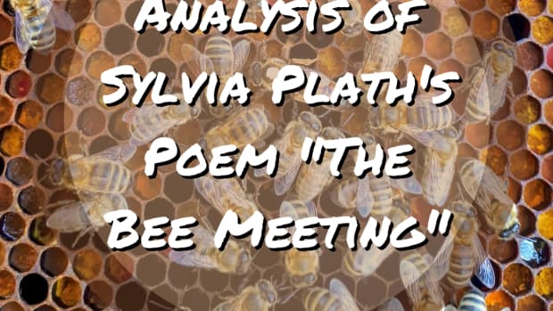 analysis-of-poem-the-bee-meeting-by-sylvia-plath