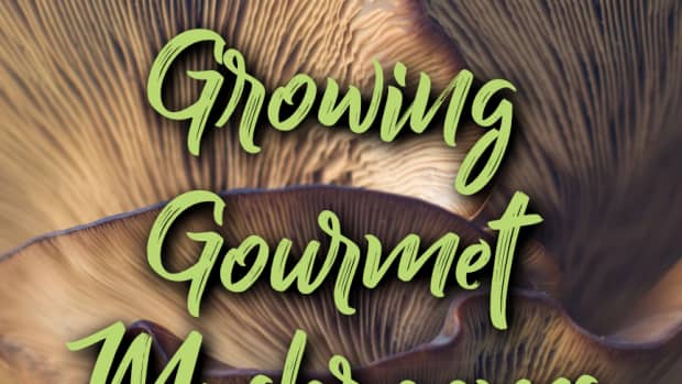 growing-gourmet-mushrooms