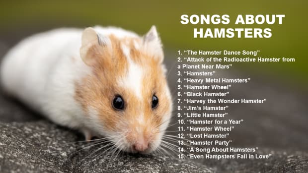 songs-about-hamsters