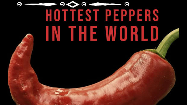 the-top-10-hottest-peppers-in-the-world