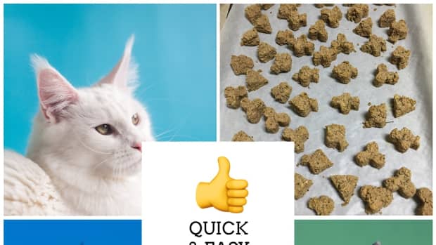easy-4-ingredient-cat-snacks