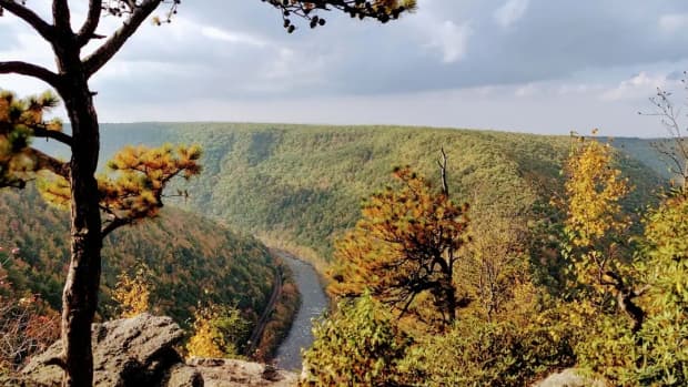 tank-hollow-vista-hike-to-pennsylvanias-most-beautiful-view