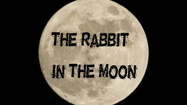 there-is-a-rabbit-in-the-moon-a-poem
