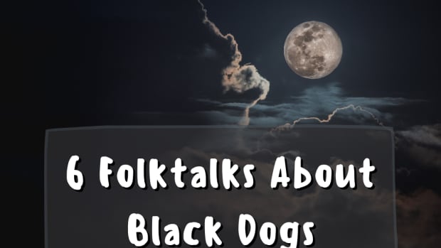6浮雕 - 关于黑人狗