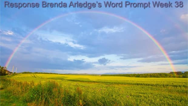 poem-rainbows-brighten-and-add-color-to-the-sky-response-brenda-arledges-word-prompt-week-38