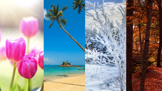 the-four-seasons-of-the-year