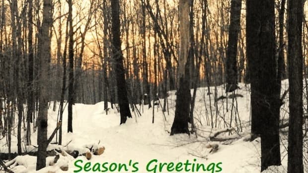 seasons-greetings-and-christmas-blessings
