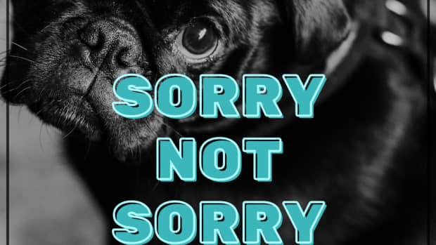 funny-responses-to-i-am-sorry-and-other-apologies