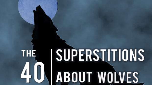 top-50-mythology-and-superstitions-about-wolves