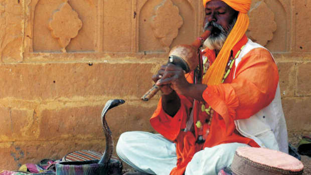 the-art-of-the-snake-charmer-india