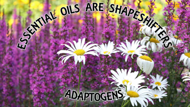 essential-oils-are-shapeshifters