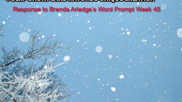 poem-snowflake-natures-unique-creation-response-to-brenda-arledges-word-prompt-week-45